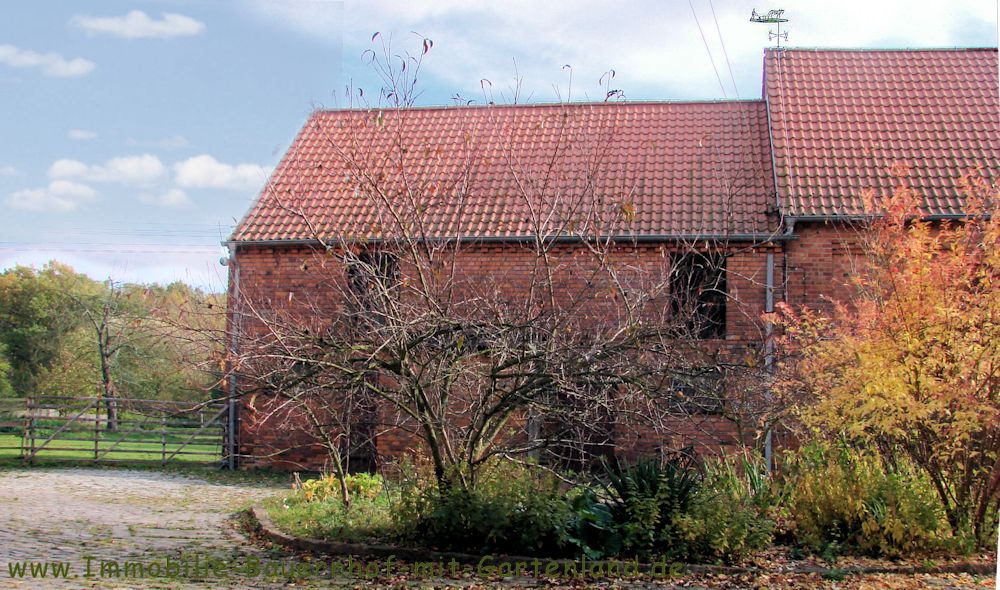 Bauernhof-mit reichlich-fruchtbarem-Gartenland